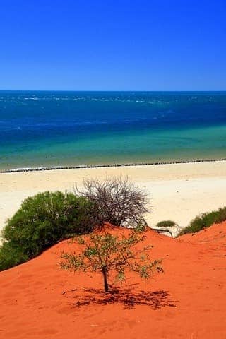 Red sand and sea - Francois Perron National Park - Western Australia - Australia
