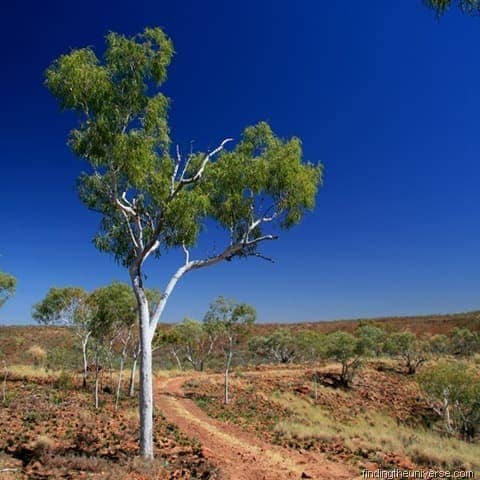 Memories of Oz: The NT