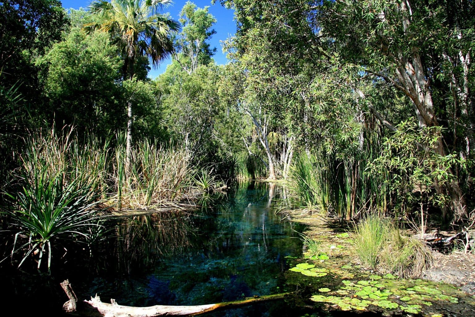 Visiting The Lost Cities of Limmen National Park, Northern Territory, Australia Finding the Visiting The Lost Cities of Limmen National Park, Northern Territory, Australia Finding the