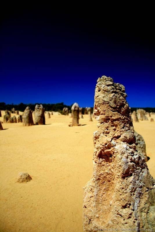 Pinnacles Desert 1 - Western Australia - Australia