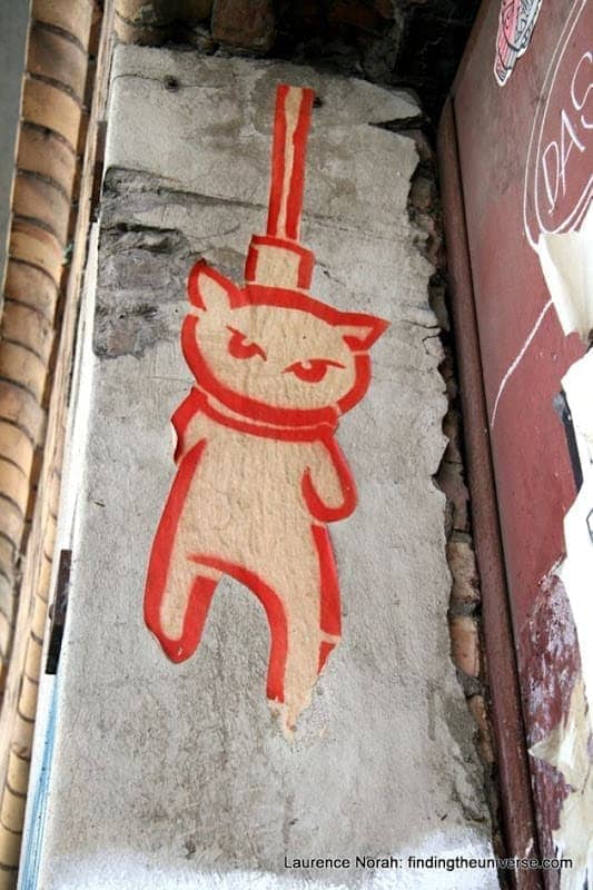 Hung Cat