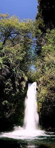 Waterfall behind Tongariro holiday park
