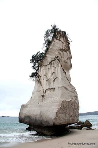 Awesome looking rock at Cathedral Cove - Coromandel Peninsula