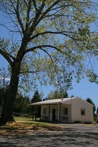 Camp Kitchen
