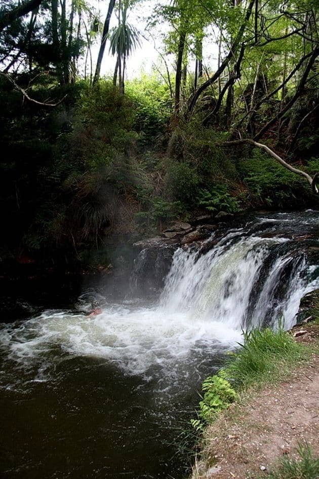 Steaming waterfall of Kerosene Creek - near Rotorua