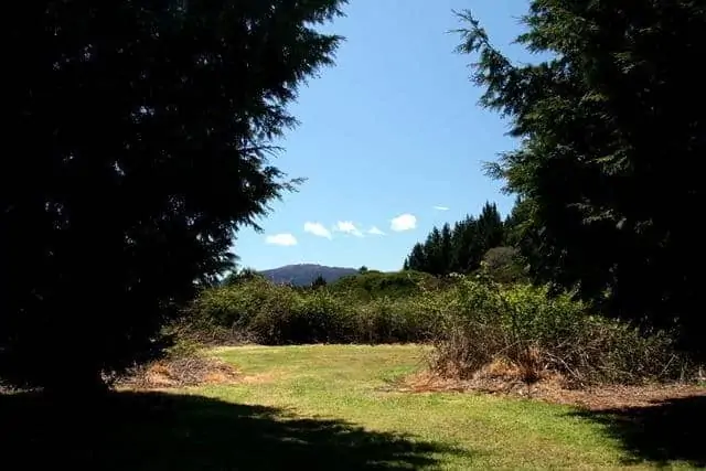 Tent site options. Pretty funky if you ask me!