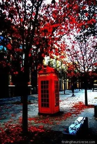 Phone box in London, autumn