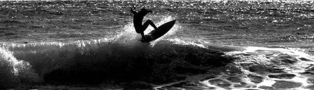 Surfer