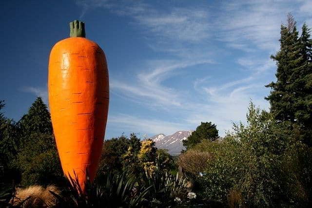 Giant Carrot of Ohakune