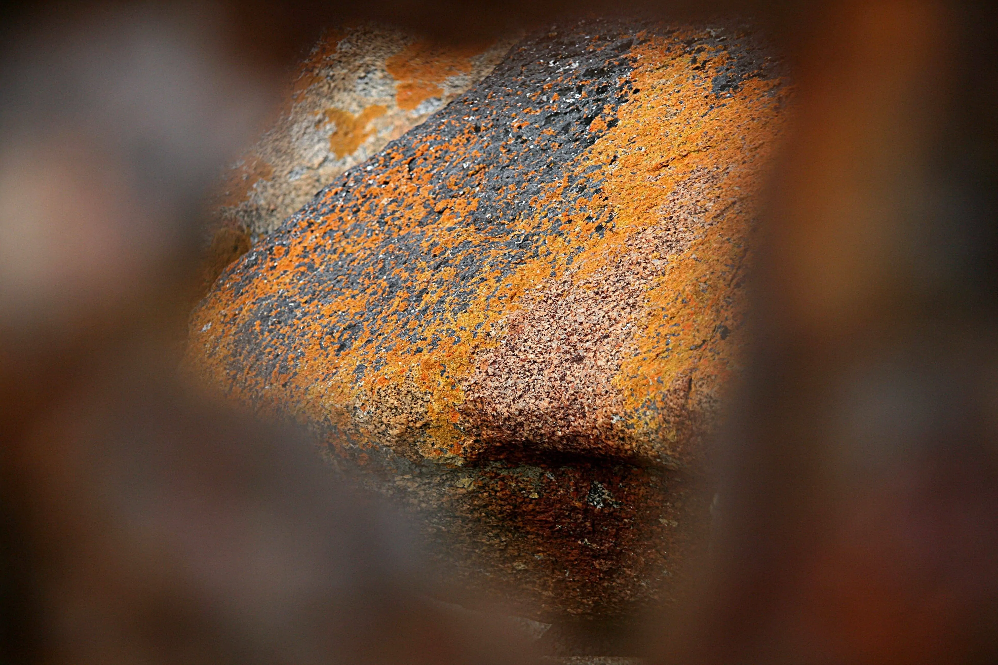 Photo theme – holes