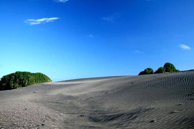 New Zealand’s surf coast highway