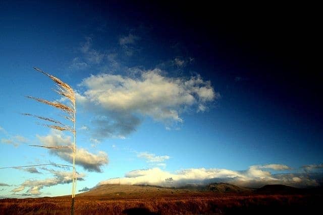 Maori Mountain Myths