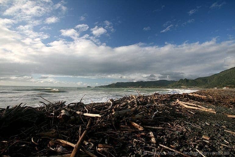 Driftwood coated beach