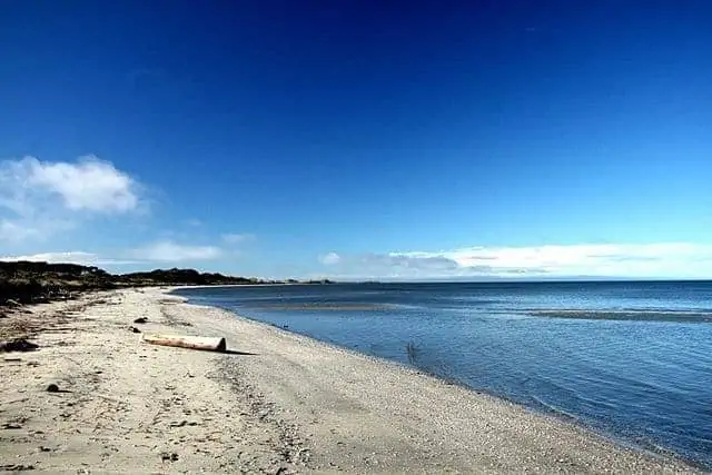 Farewell Spit Beach 2