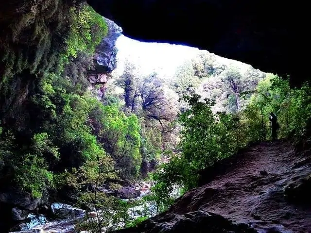 Inside the Oparara Arch