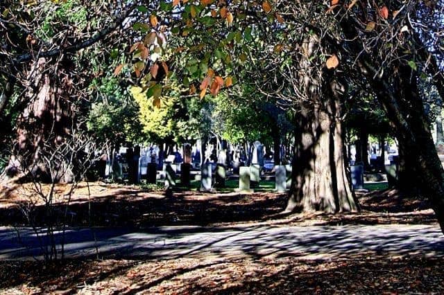 Masterton Cemetery