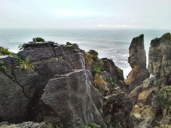 Pancake Rocks 1 Pancake Rocks 1