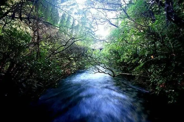 Pupu Springs