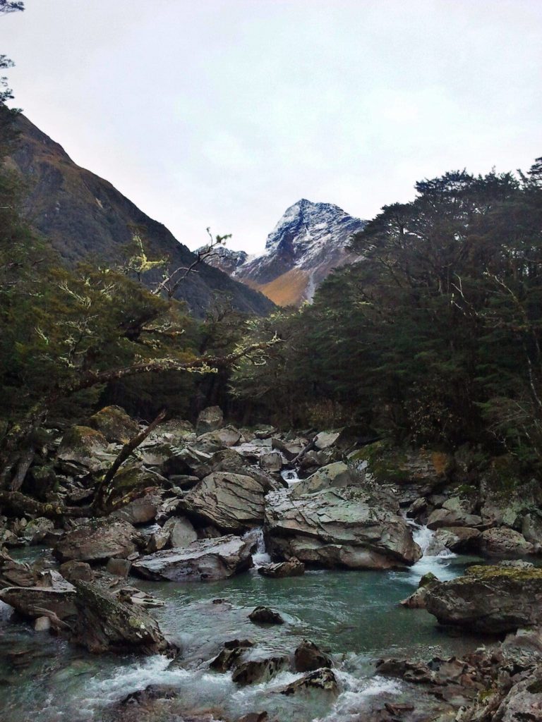 River to Rob Roy Glacier