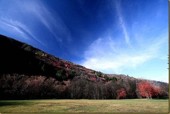 The Gladden Fields