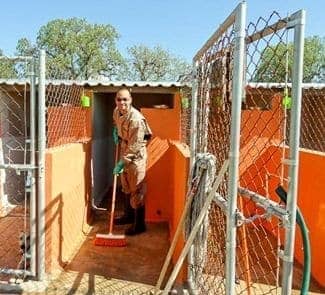 Volunteering at Animal Shelter in Mexico