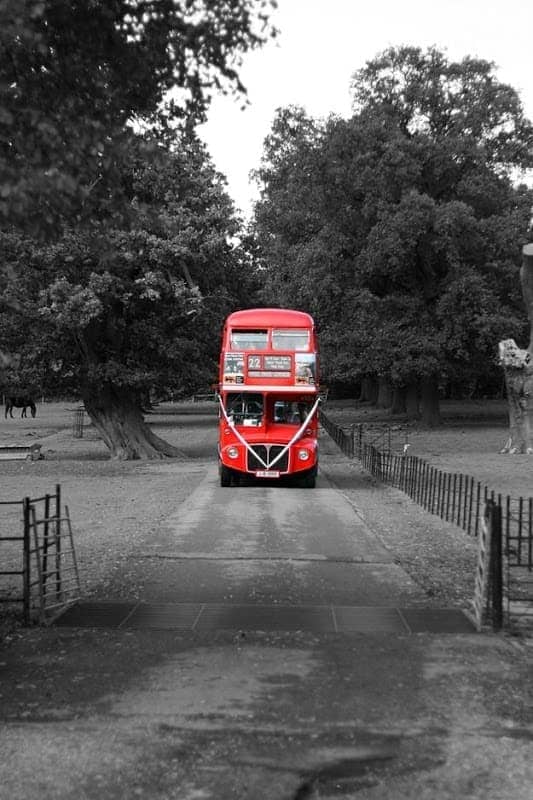 Wedding bus