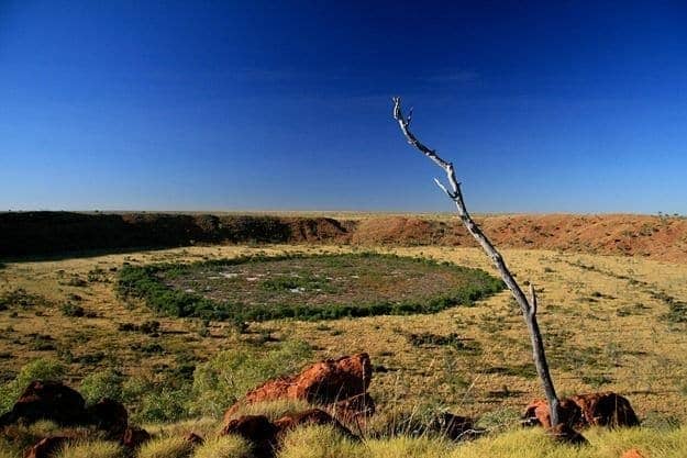 Wolfe Creek Crater