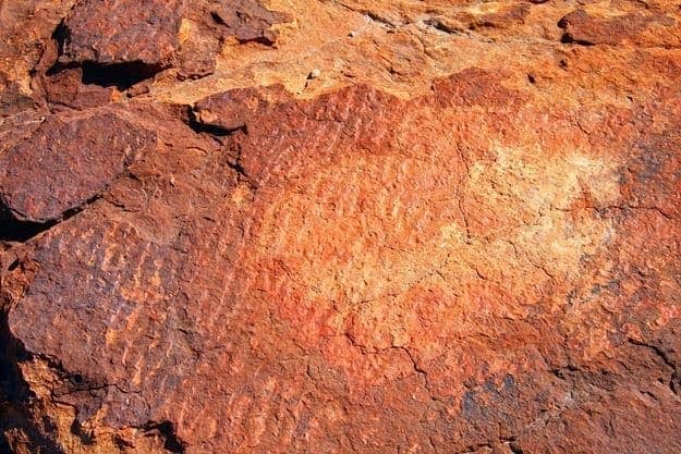 Fossilised rock ripple of sand dune Kings Canyon outback Australia