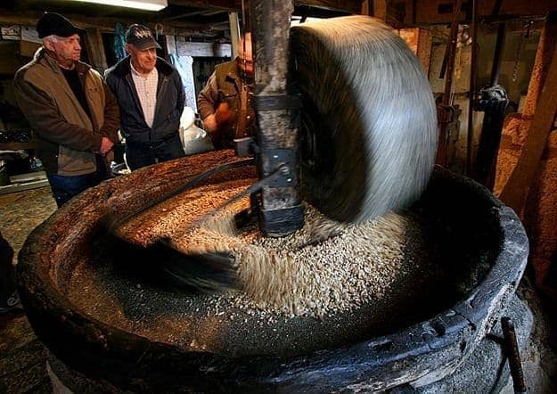 Walnuts being crushed by stone wheel in water powered mill France