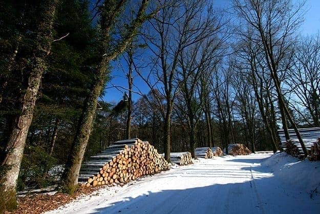 Log piles in the snow