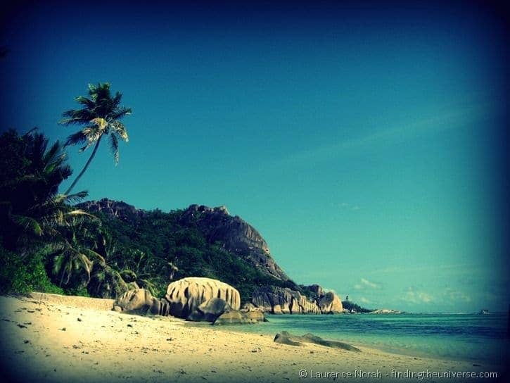 palm tree beach seychelles