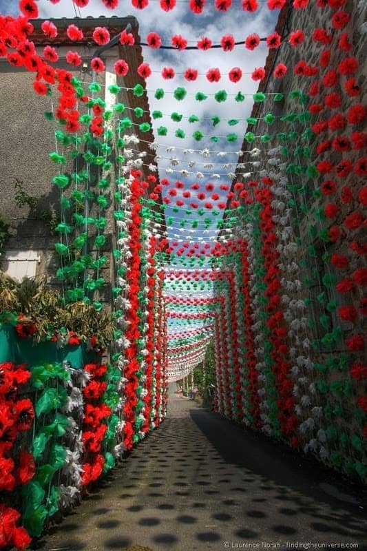 Felibre flower tunnel 1