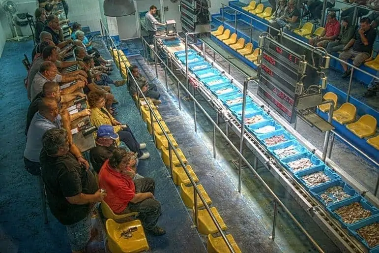 Fish market auction