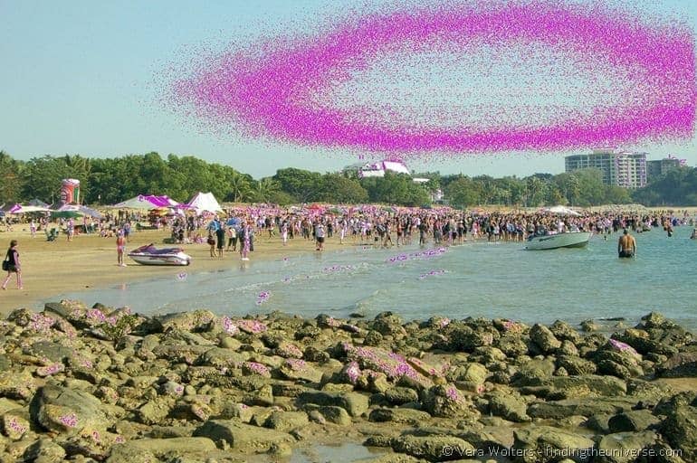 Beer can regatta, Darwin, Australia