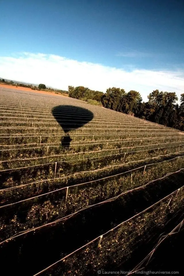 Landing-in-a-peach-field1