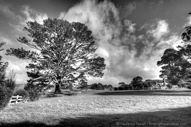 Hobbiton party tree black and white