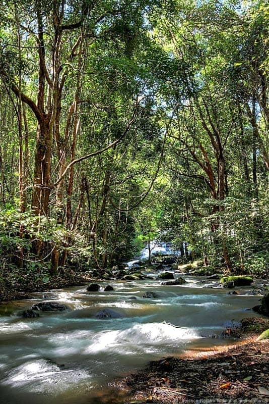 Doi Inthanon river