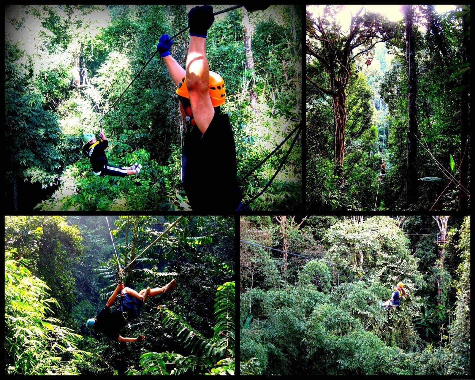 Flight of the Gibbon zip lining collage 2