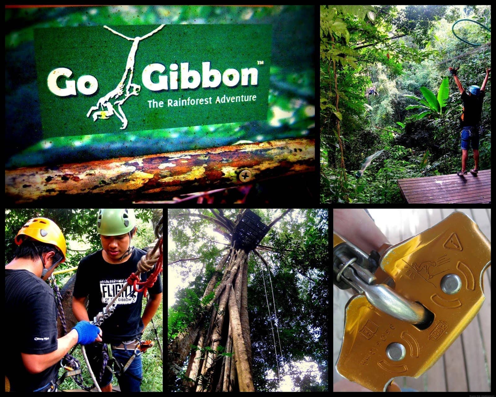 Flight of the Gibbon zip lining collage 3