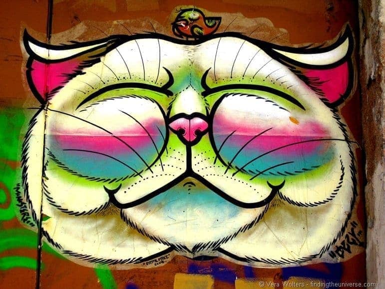 Smiling cat street art Barcelona