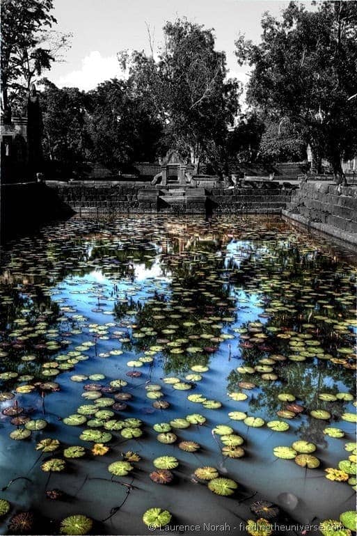 Lily pond Prasat Muang tam Thailand 2