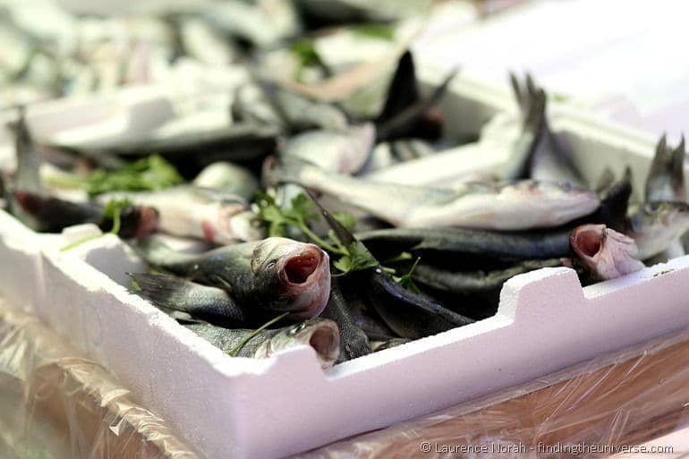 fresh fish at the market