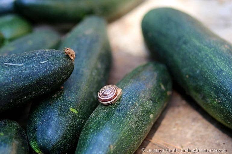 The food of Brindisi: In photos