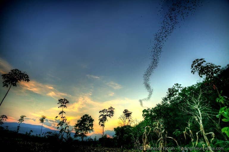 Bats emerge from cave sunset Khao Yai National Park Thailand