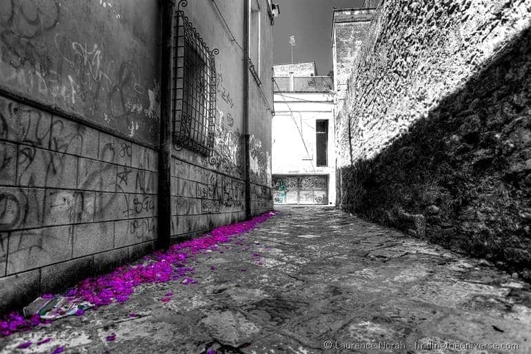 Brindis back streets flower petals black and white