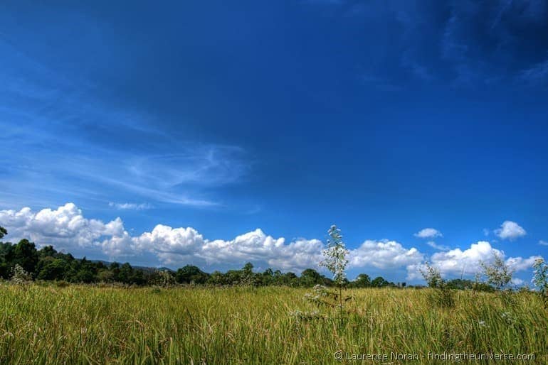 Grassy plains Khao Yai national park