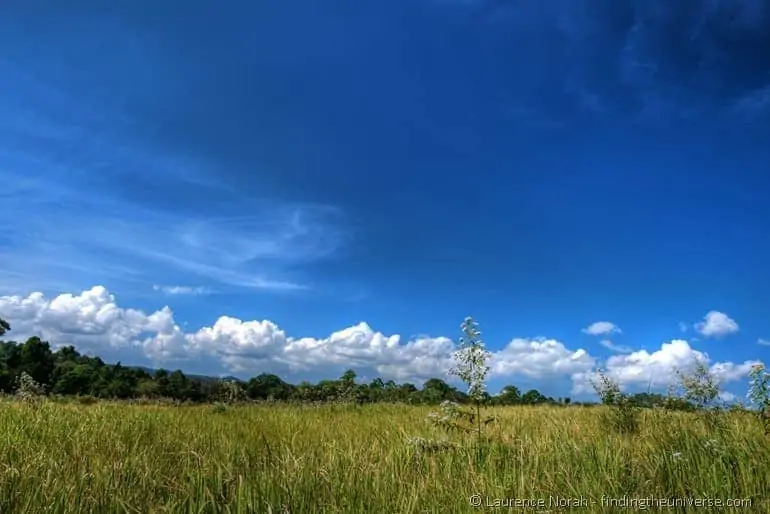 Grassy plains Khao Yai national park Grassy plains Khao Yai national park