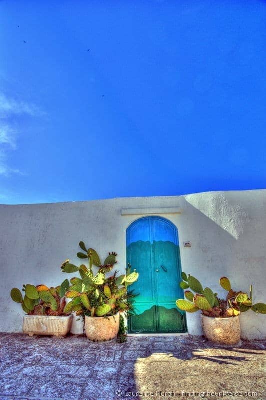 Cactus Doorway Ostuni