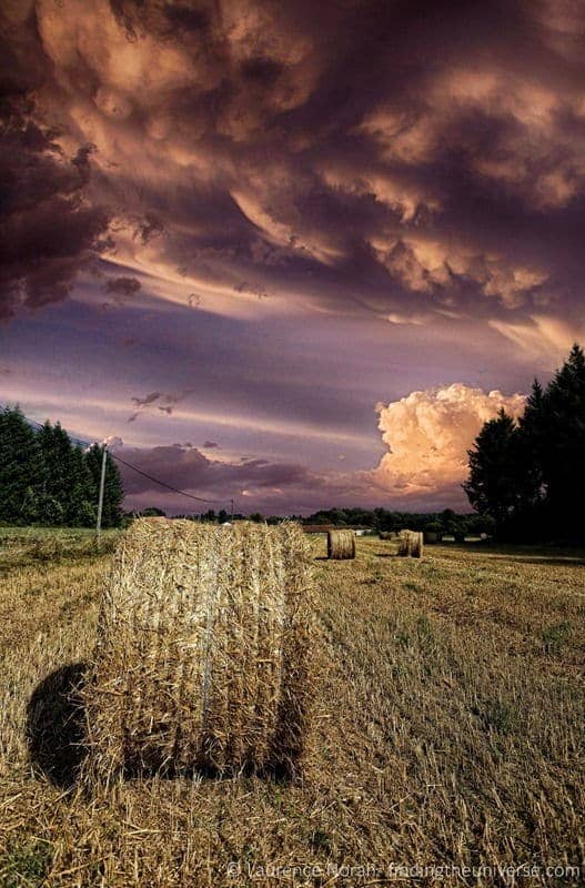 Hay in field sky scaled