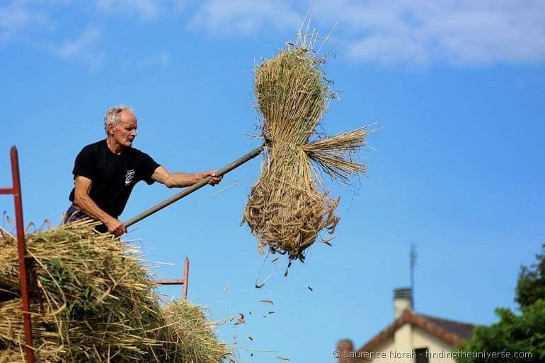 Man throwing wheat with pitchfork